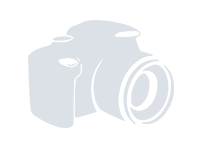 Обои нетканые IDEAL Standart 280 (JZ8047)